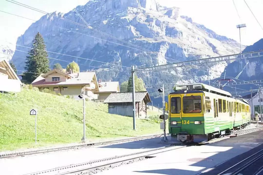 关于日本的冷知识和文化,关于日本人的冷知识