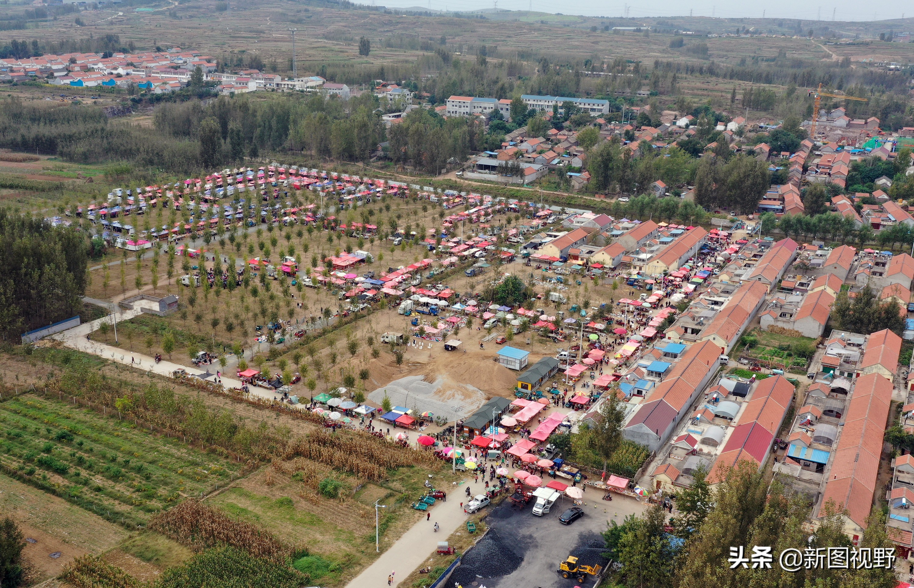 男子拍短视频赚70万,男子回乡创业视频