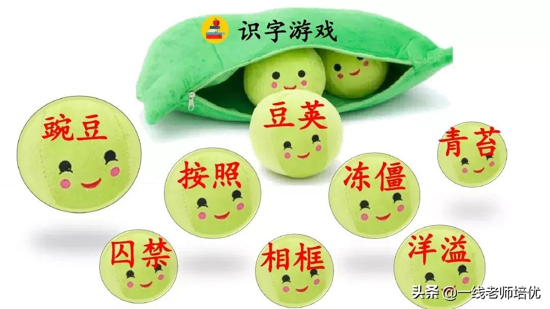 四年级上册豆荚里的五粒豆笔记,一个豆荚里的五粒豆四年级课文