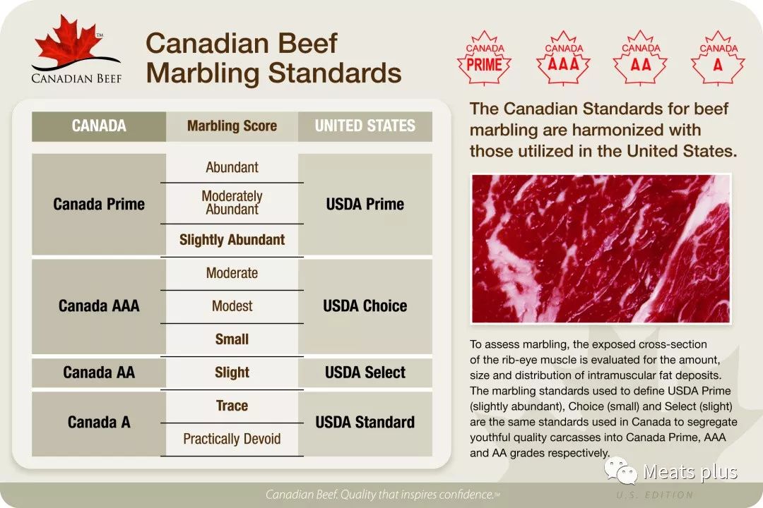 MeatsPlus超全牛排知识及攻略指南,上篇