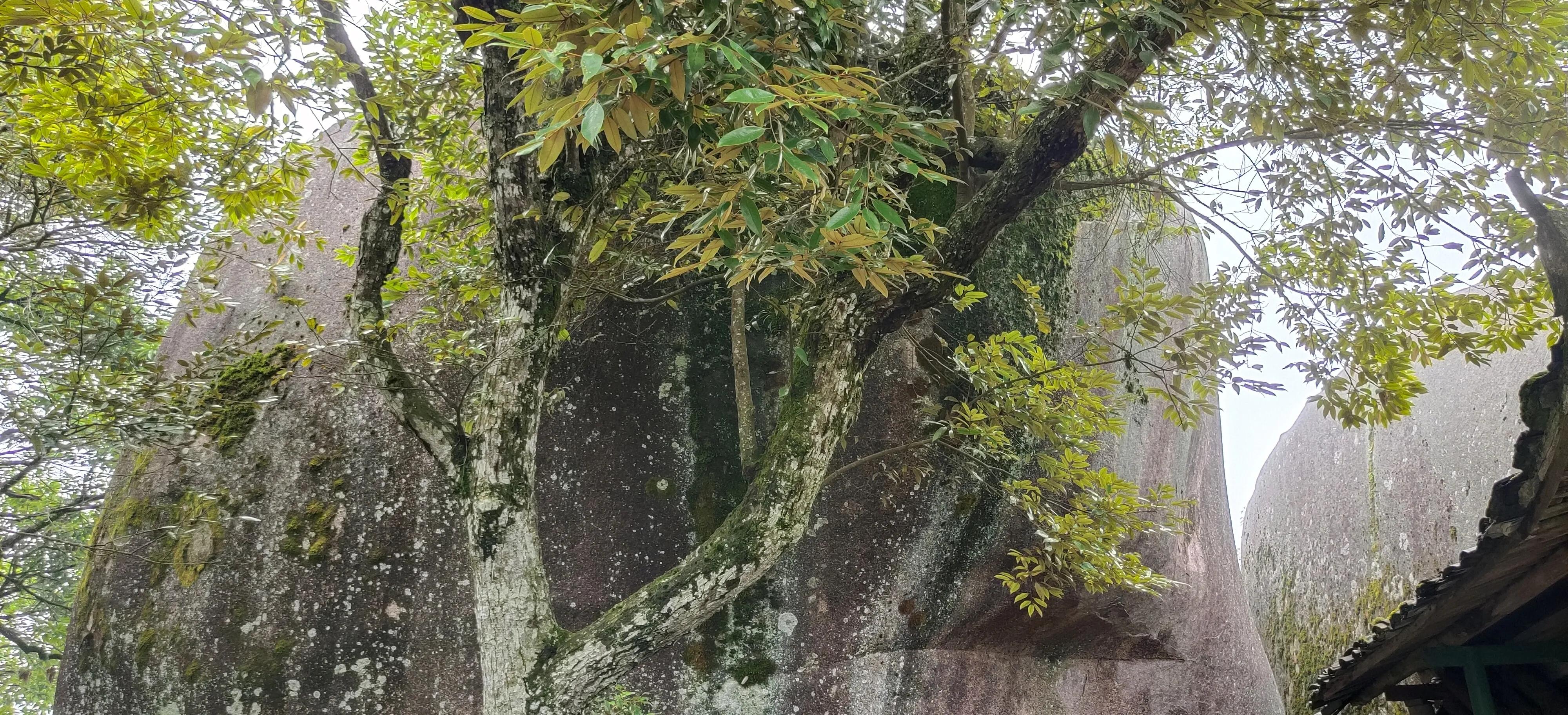 登上绝壁悬崖感受一览众山小,登上泰山之巅的感觉