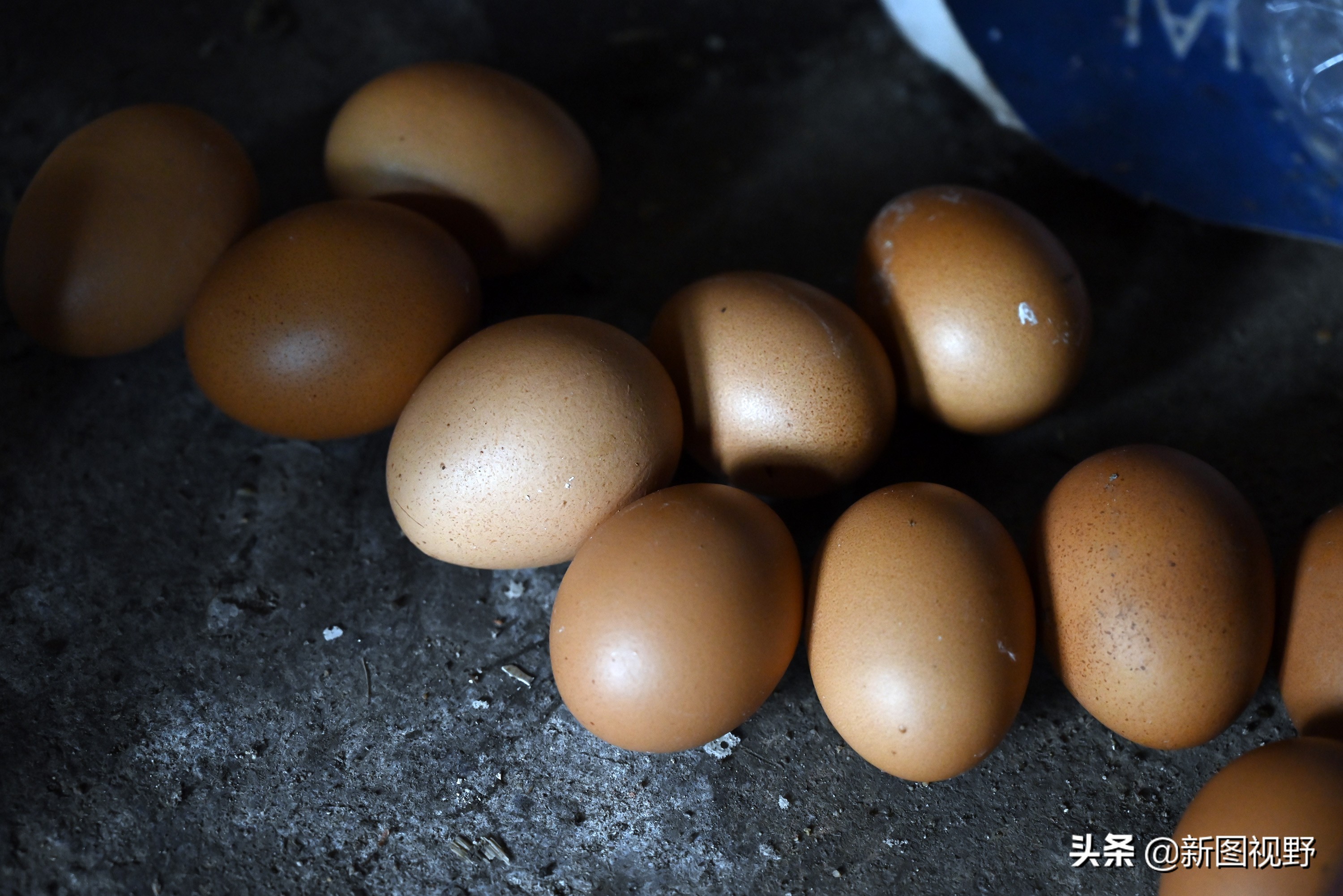 77岁儿子谈长寿经验，100岁母亲插话说出生活秘诀，极具人生智慧