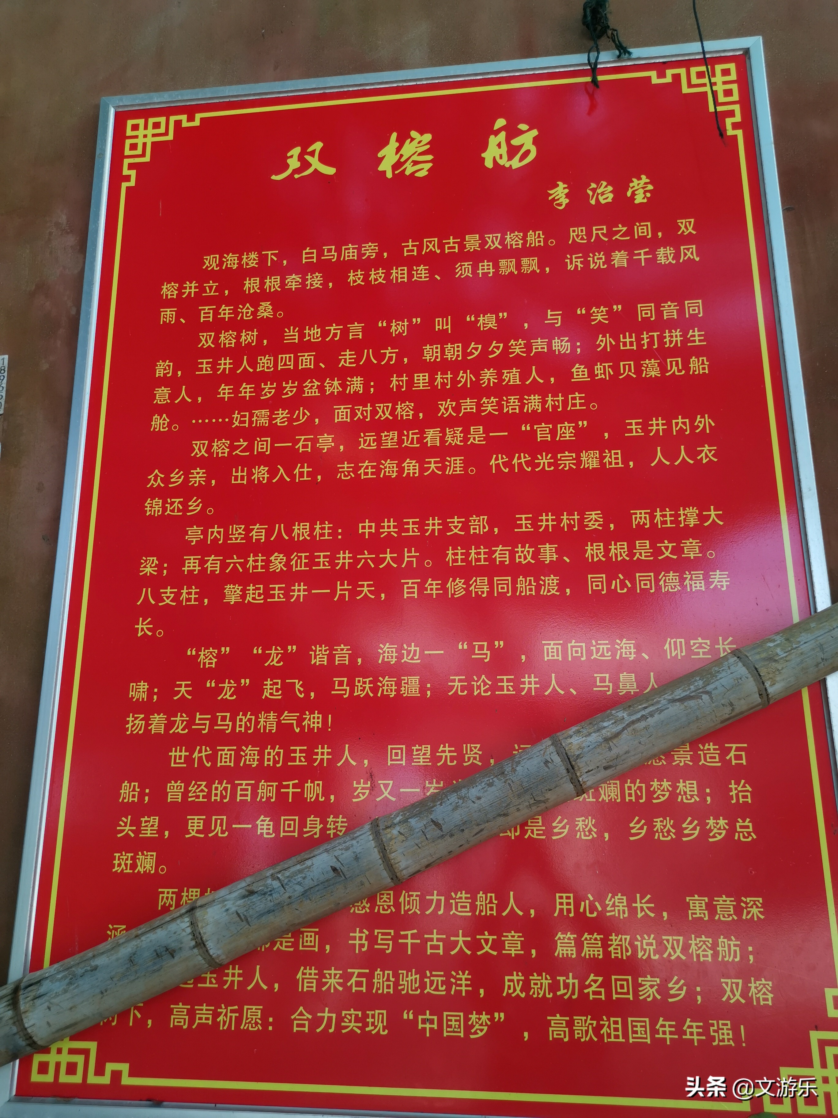 马尾有什么涵义,马尾是鬃毛吗