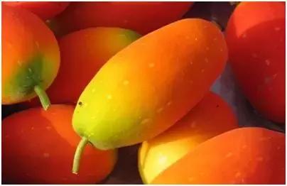 致富快的小项目,贫困户致富创业项目有哪些