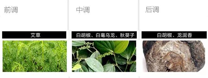 妈妈，就是它们盘走了我的压岁钱！5款提升品味不烂大街的香水