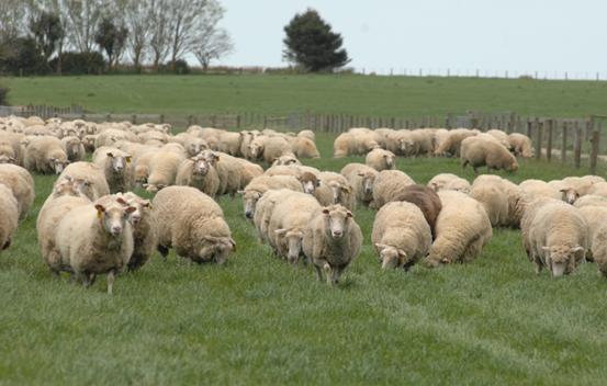 奶粉如何吃才营养更好,奶粉配方越多越好还是越少越好