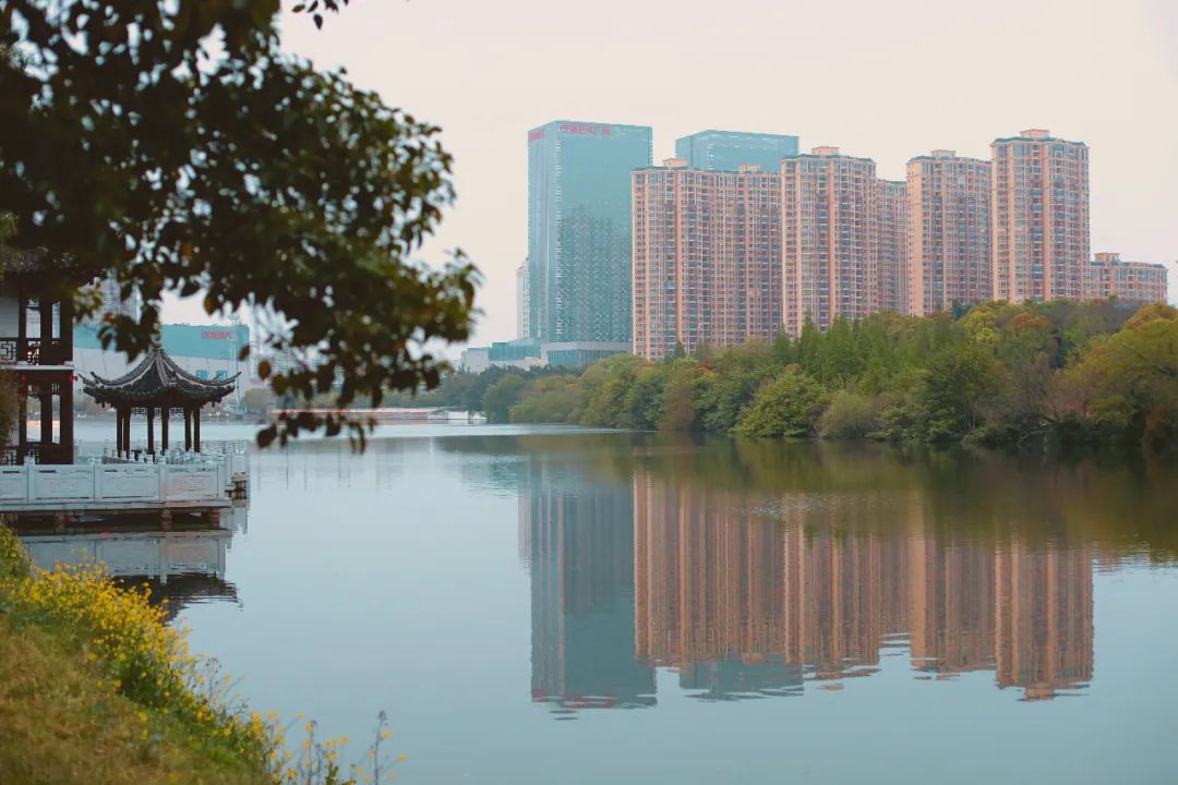 泰州旅游攻略五日游,泰州自由行旅游攻略一日游