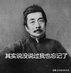 想养一只大熊猫有多不容易,怎么样能养大熊猫