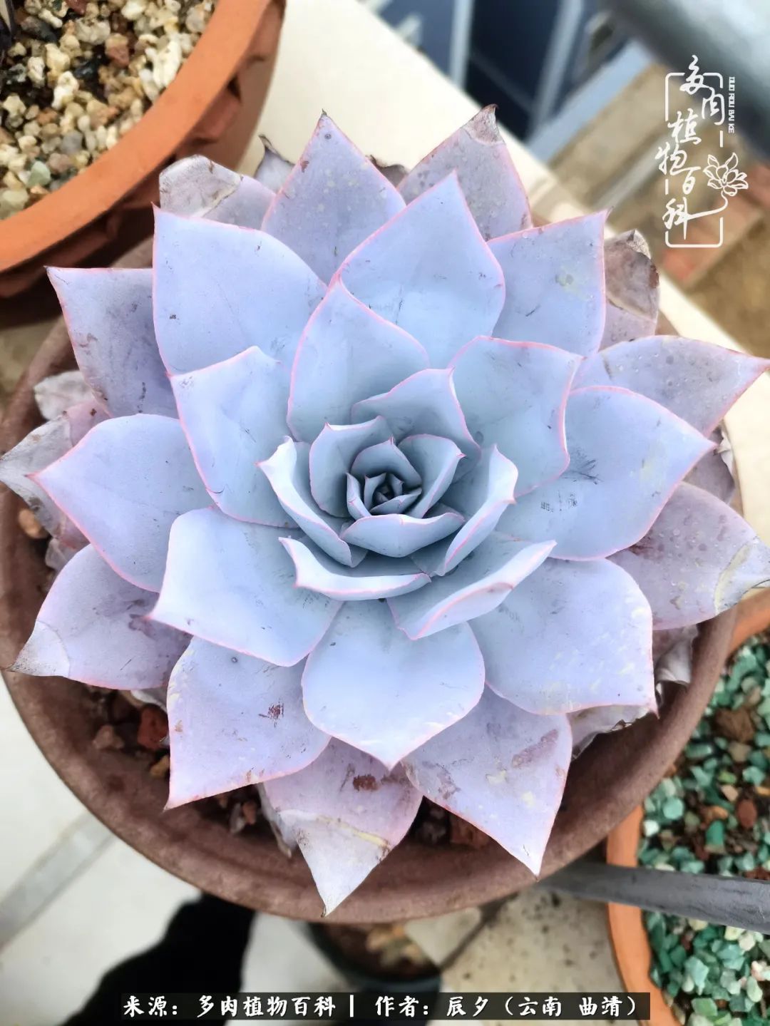 缂辩换鏃栨棊钁宠暏鐢熼,缂辩换鏃栨棊钁宠暏鐢熼鍑哄