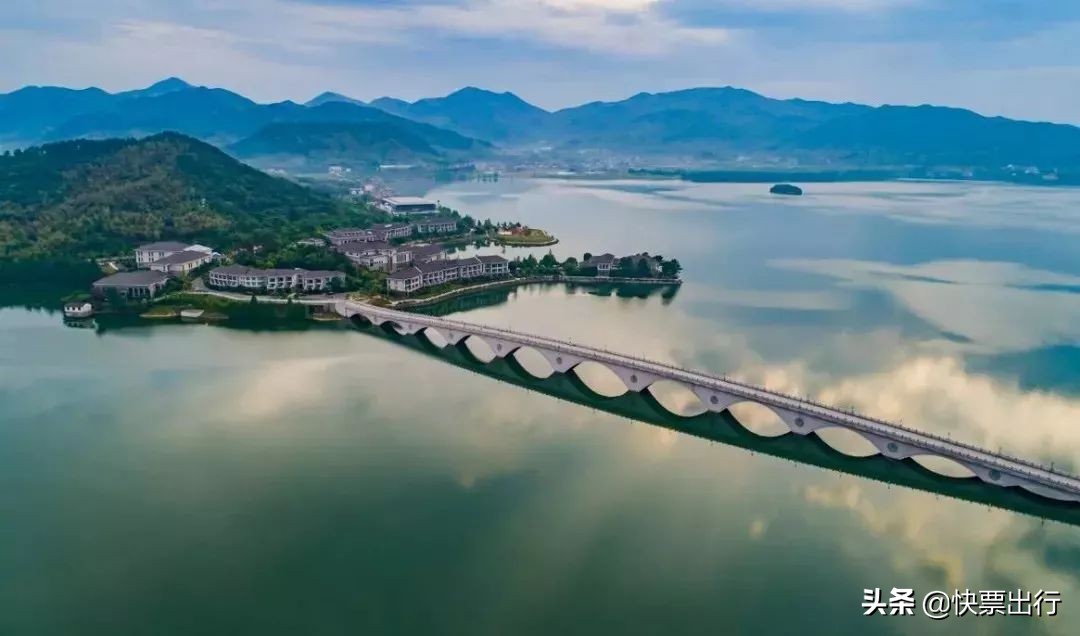 隐藏在1.2亿立方米的网红，天空视角水杉木，美酥了