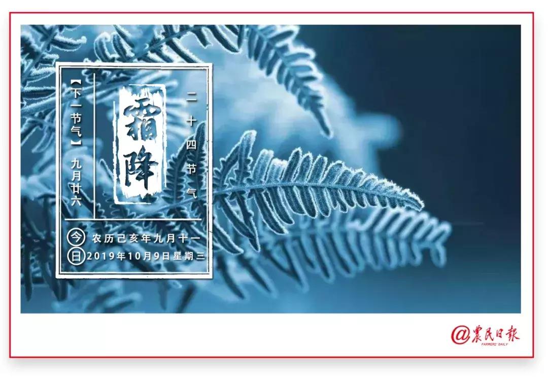 北纬47°的农业,北纬47度有机大米