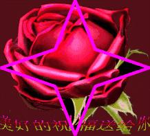 端午节快乐祝福语大家端午安康,端午节送祝福祝大家端午节安康