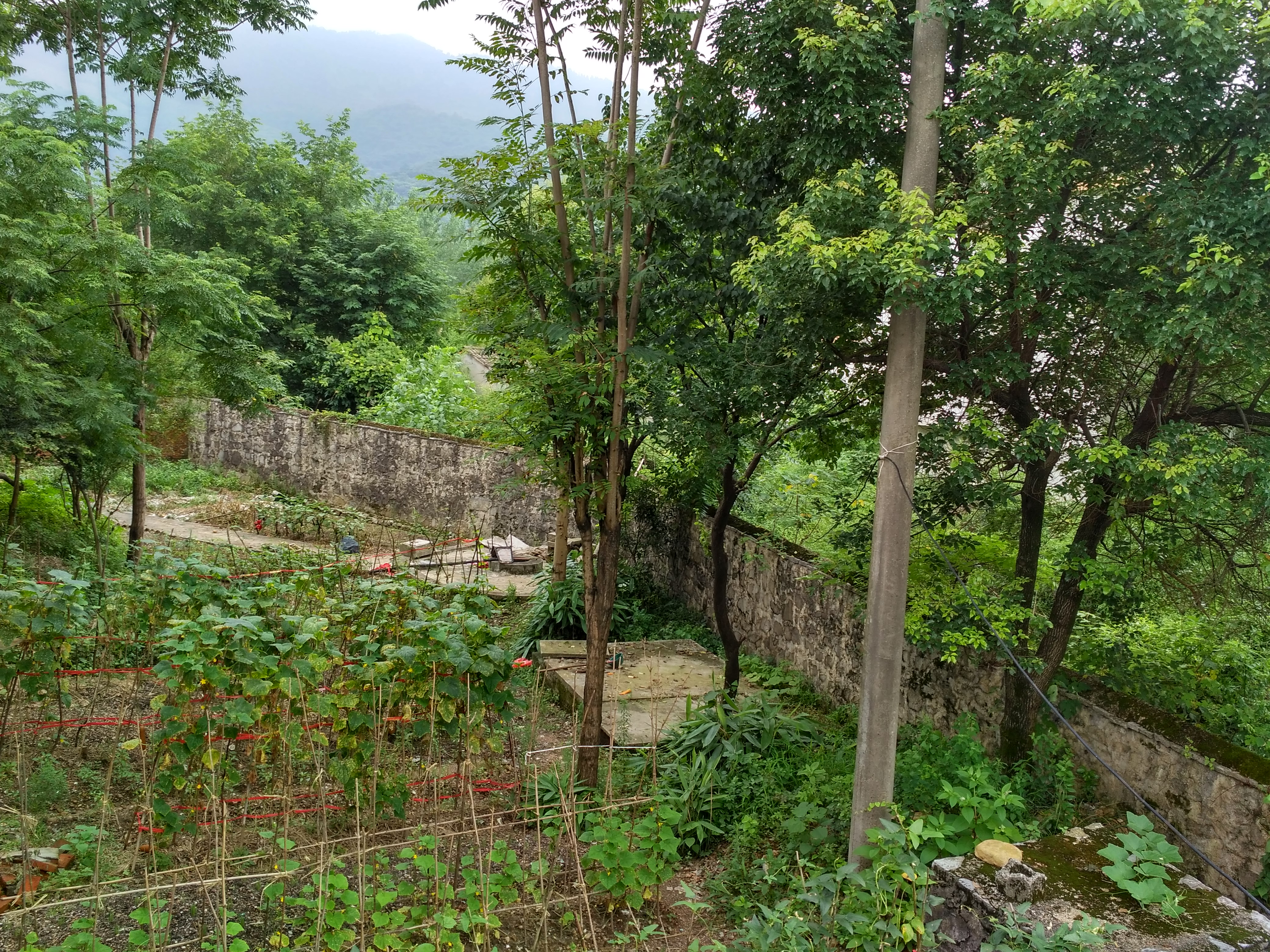 摩友一起骑行的视频,与摩友一起川藏