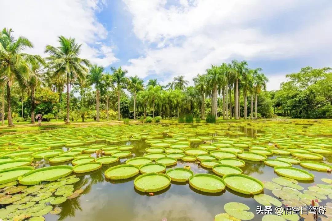 昆明自驾西双版纳沿途旅游景点,昆明至西双版纳沿途旅游景点