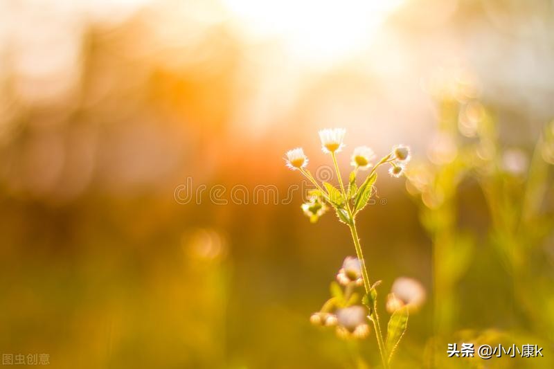 2020全国二本文科大学排名,2020年江苏二本文科压线院校