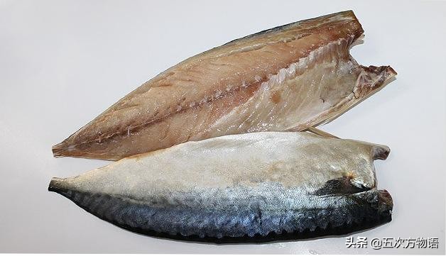 椴呴奔鍒嗛矏椴呰繕鏈夊暐,椴呴奔濂藉悆杩樻槸椴愰矃