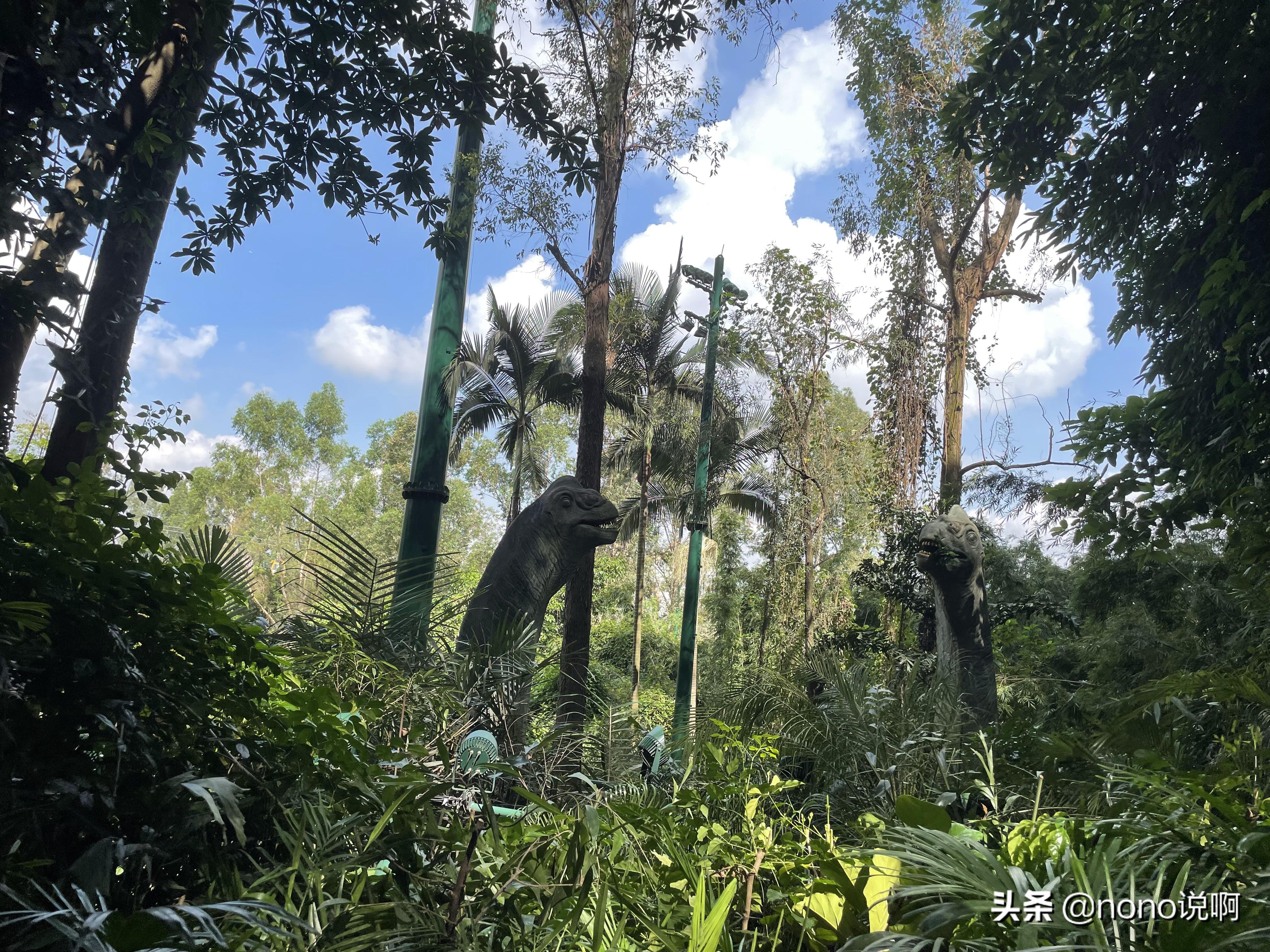 广州长隆野生动物园亲子旅游攻略,11月广州长隆野生动物园游玩攻略