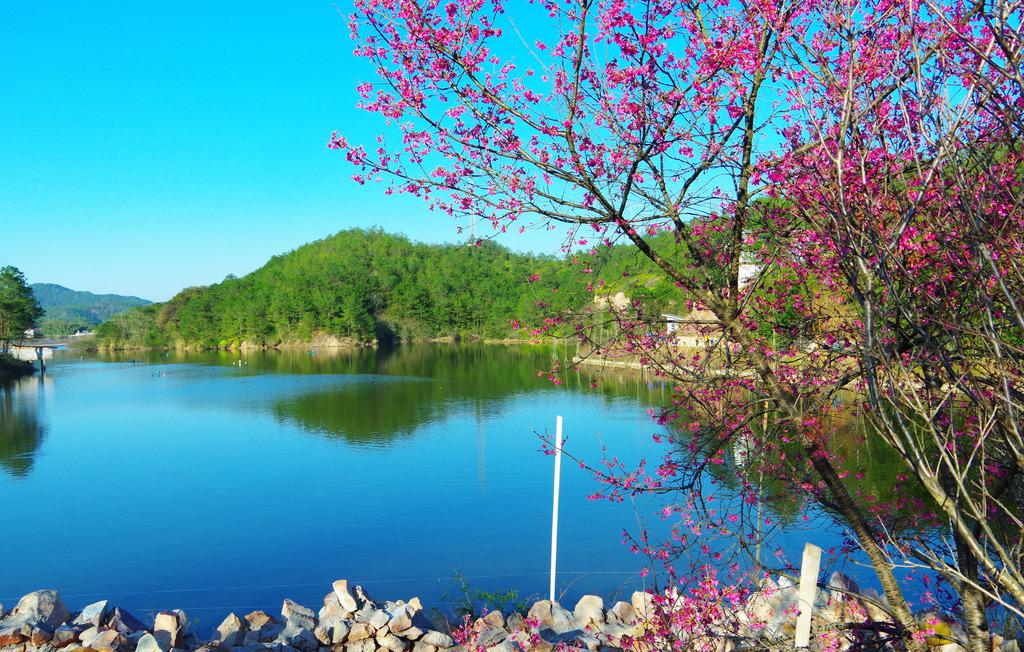 语文知识佳句大全,语文知识唯美句子