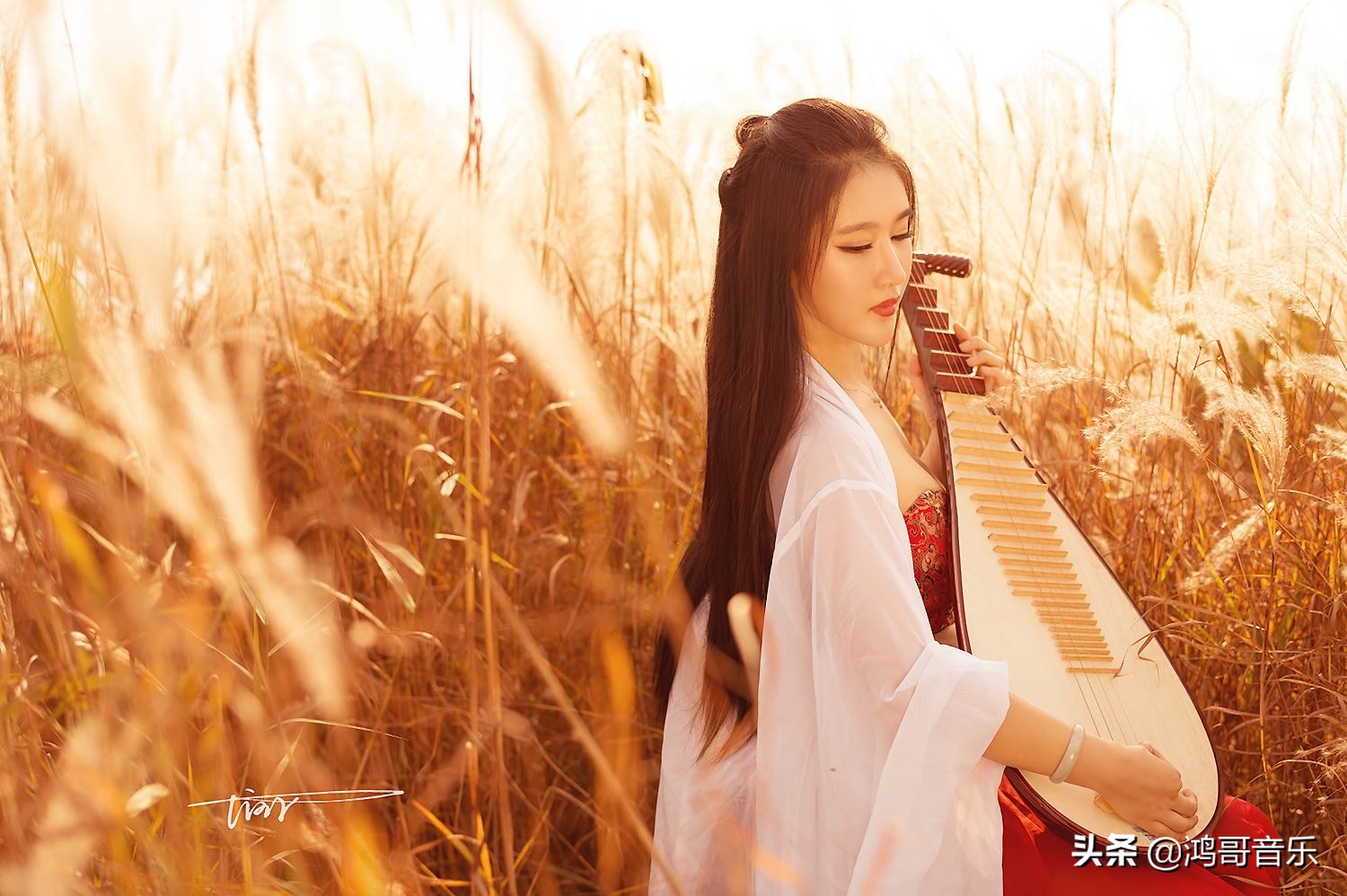 短时间内可以学会的中国乐器,最适合入门的乐器中国乐器