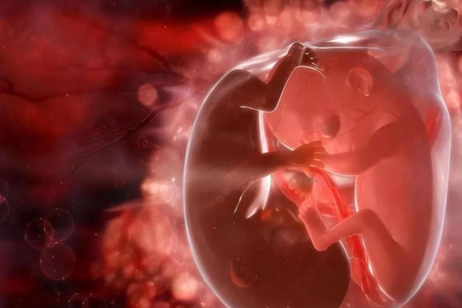 怀孕了羊水是有什么用的,为什么羊水称作羊水