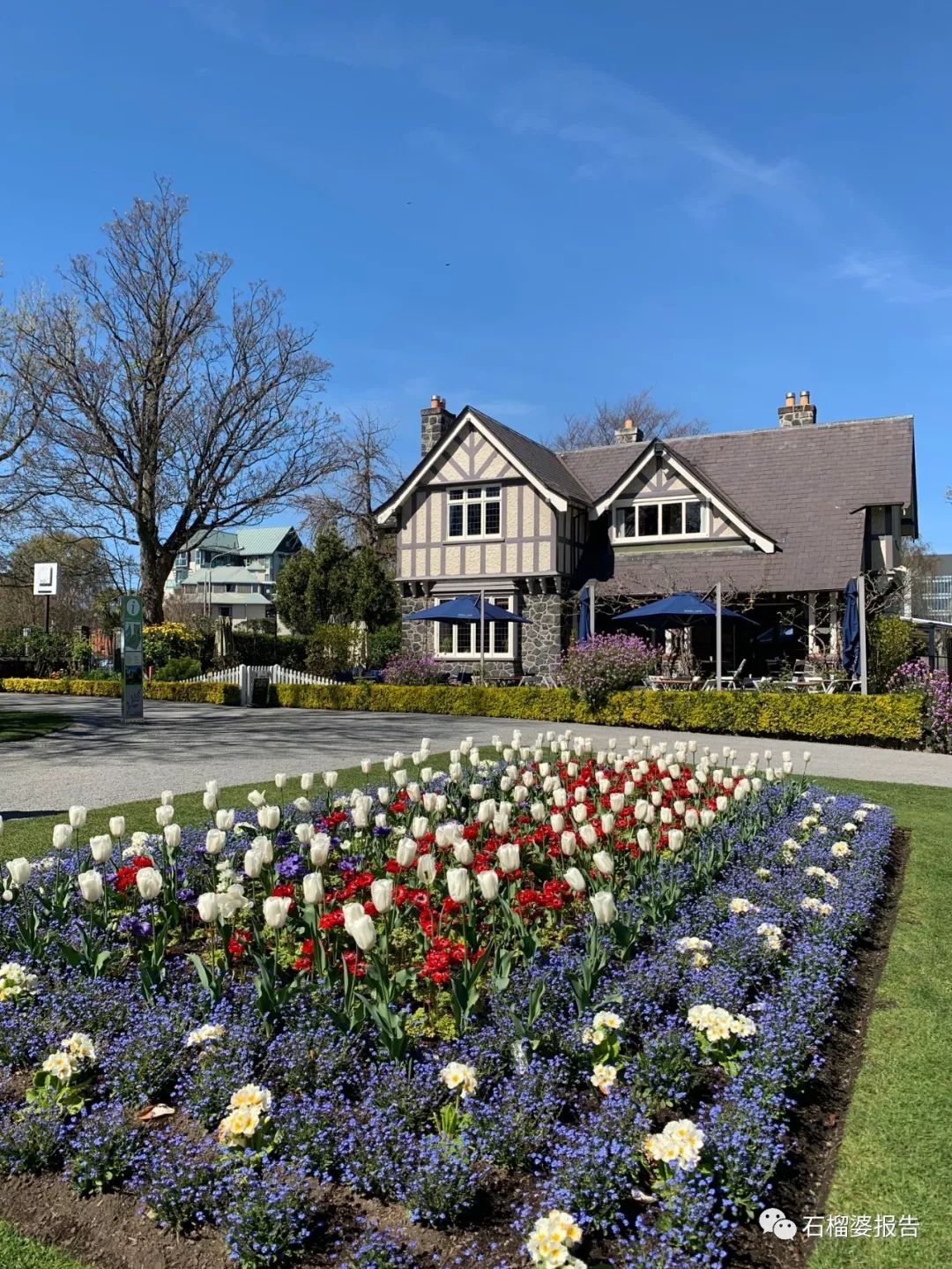 旅行7天,新西兰霍比特人村游记