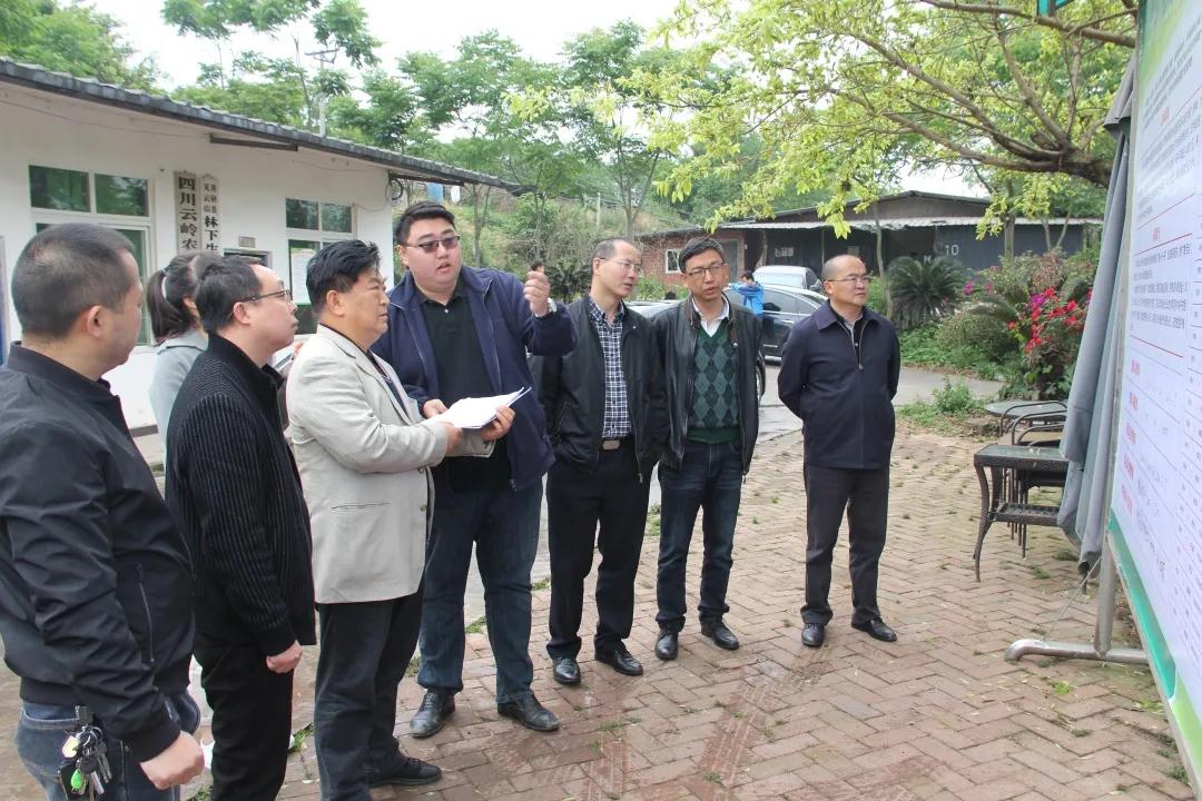 速览时事,井研政讯最新消息