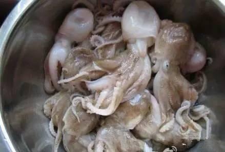 史上最全面的海鲜大咖,史上最全海鲜视频