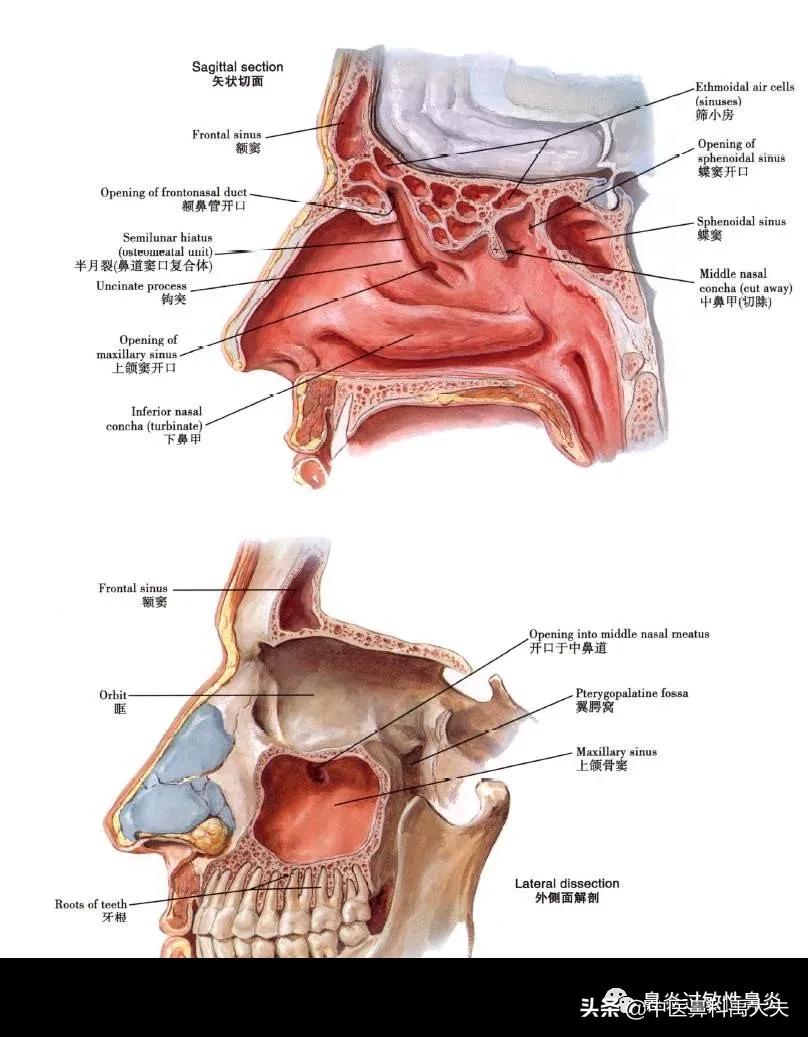 鼻窦炎流黄脓鼻涕10天了怎么办,鼻窦炎没鼻涕通气为什么头晕头痛