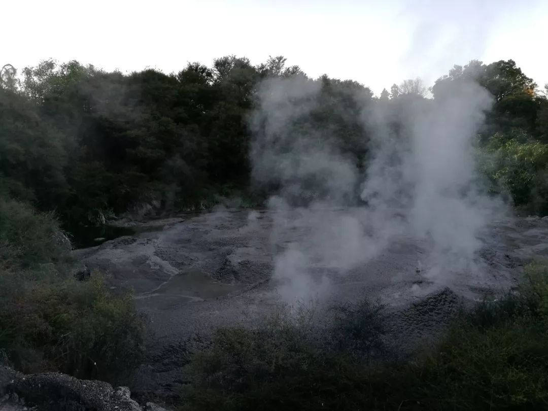难忘的新西兰之行,在新西兰难忘的日子