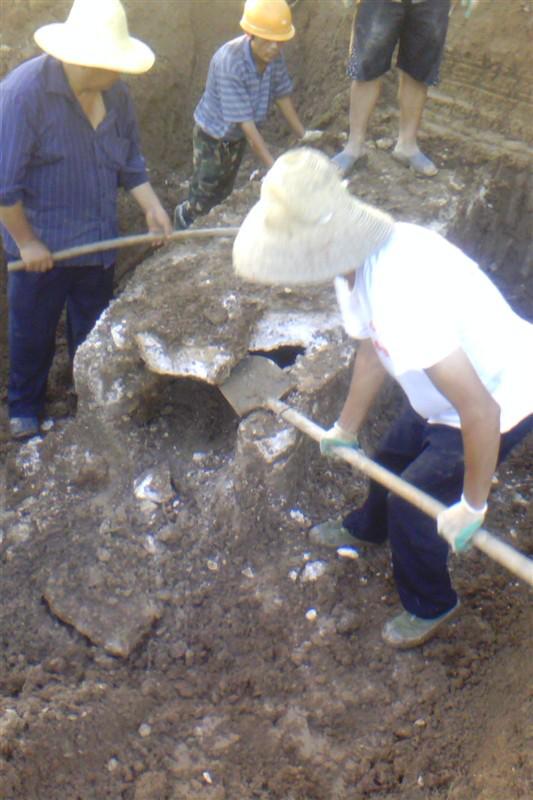 挖机挖坟的说说,挖机挖过坟拆迁房