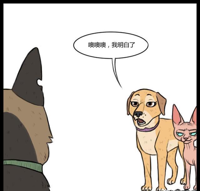 大狼狗小奶猫,大狼狗和小奶猫第一集