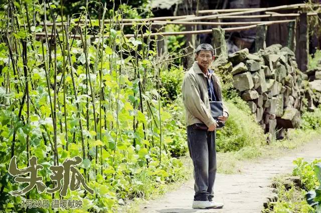 失孤原型找到儿子小孩结婚,失孤原型终于找到儿子完整版