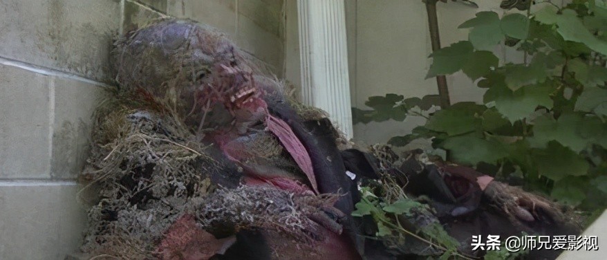 韩国一部关于小女孩和猪的电影,有关猪的电影是什么