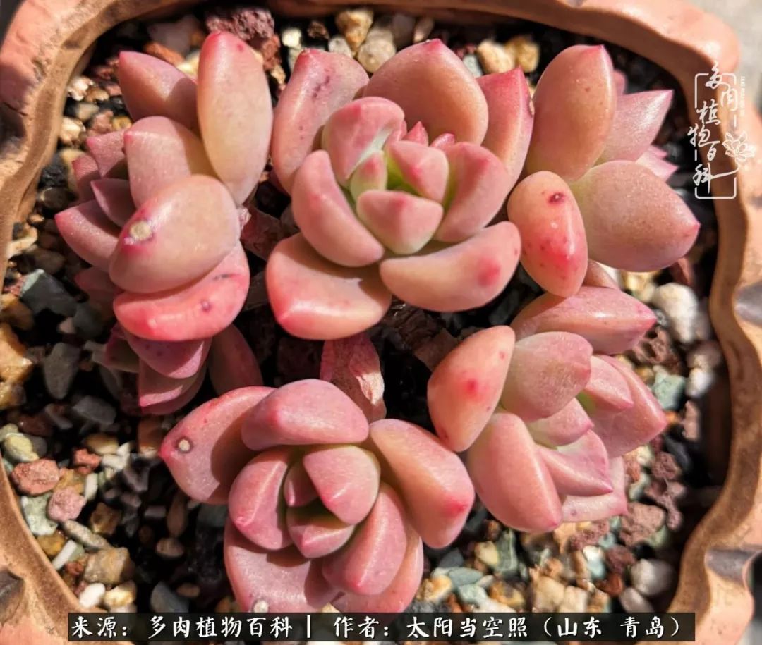 离家在外才发现最难忘的是故乡情,离家在外看见家乡的东西