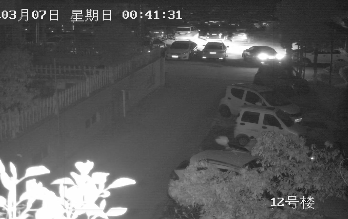 狗狗丢失找回技巧,狗狗丢失后如何尽快找回