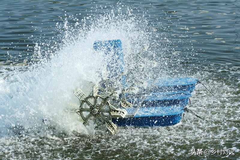 为什么有的养殖户会往鱼塘里撒尿素？怎样撒尿素才是正确的？