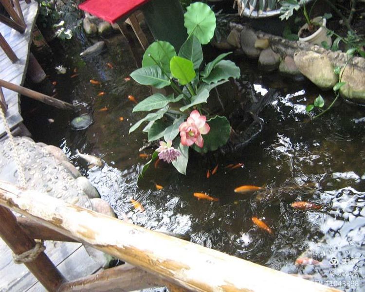 上海野生昆虫馆,上海昆虫馆门票多少