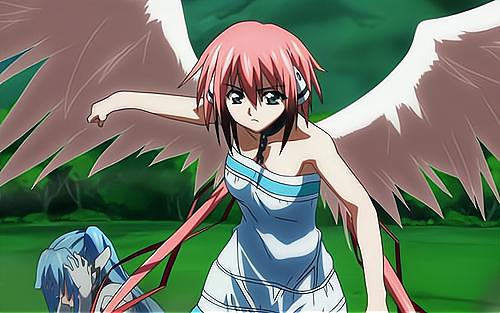 魔物娘动漫蜘蛛,动漫中的魔物娘