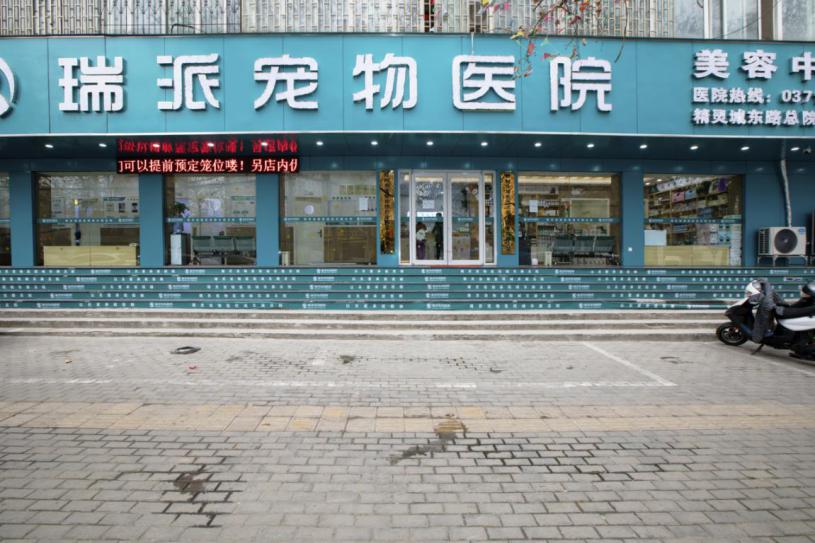 漳州瑞派宠物医院冠城分院,深圳瑞派宠物医院靠谱吗