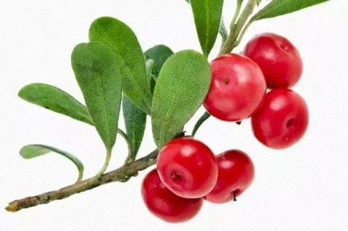 睡眠面膜补水淡斑美白韩束面膜,韩束光感透亮面膜