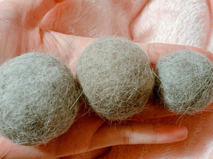 猫咪掉毛太严重满屋子都是猫毛 (猫咪掉毛扎毛毡)