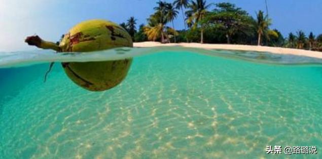 荒岛求生第一天怎么玩,荒岛求生开始应该怎么玩