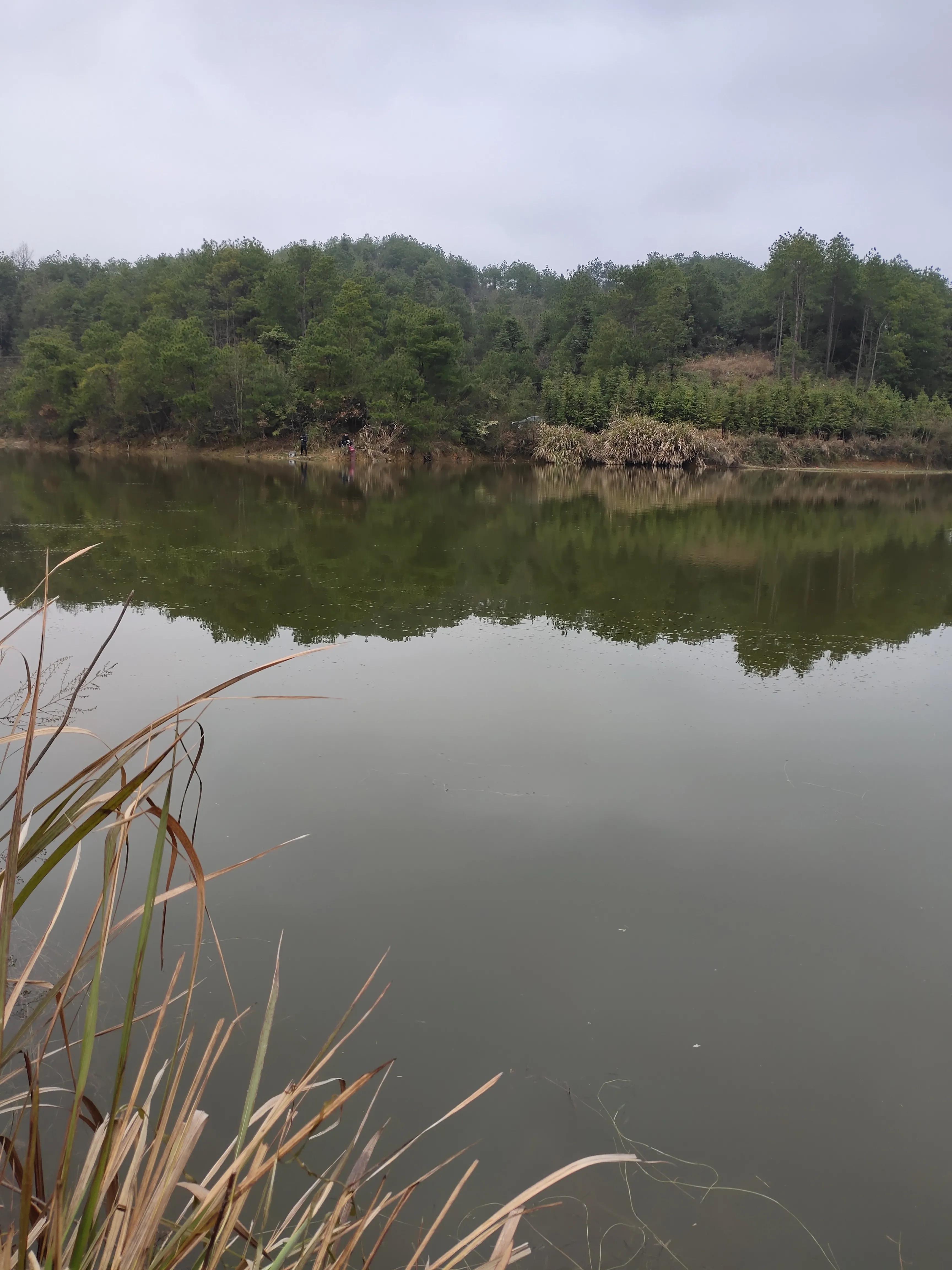 钓鱼往事歌,钓鱼往事