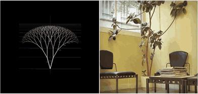 数学直观图,数学直观图画法