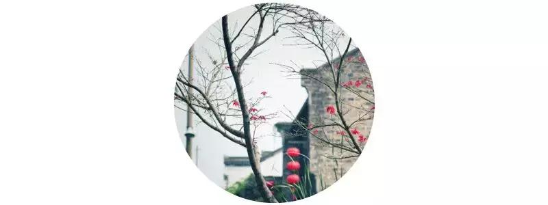 南京的秋天浪漫吗,一起去看南京最美的秋天