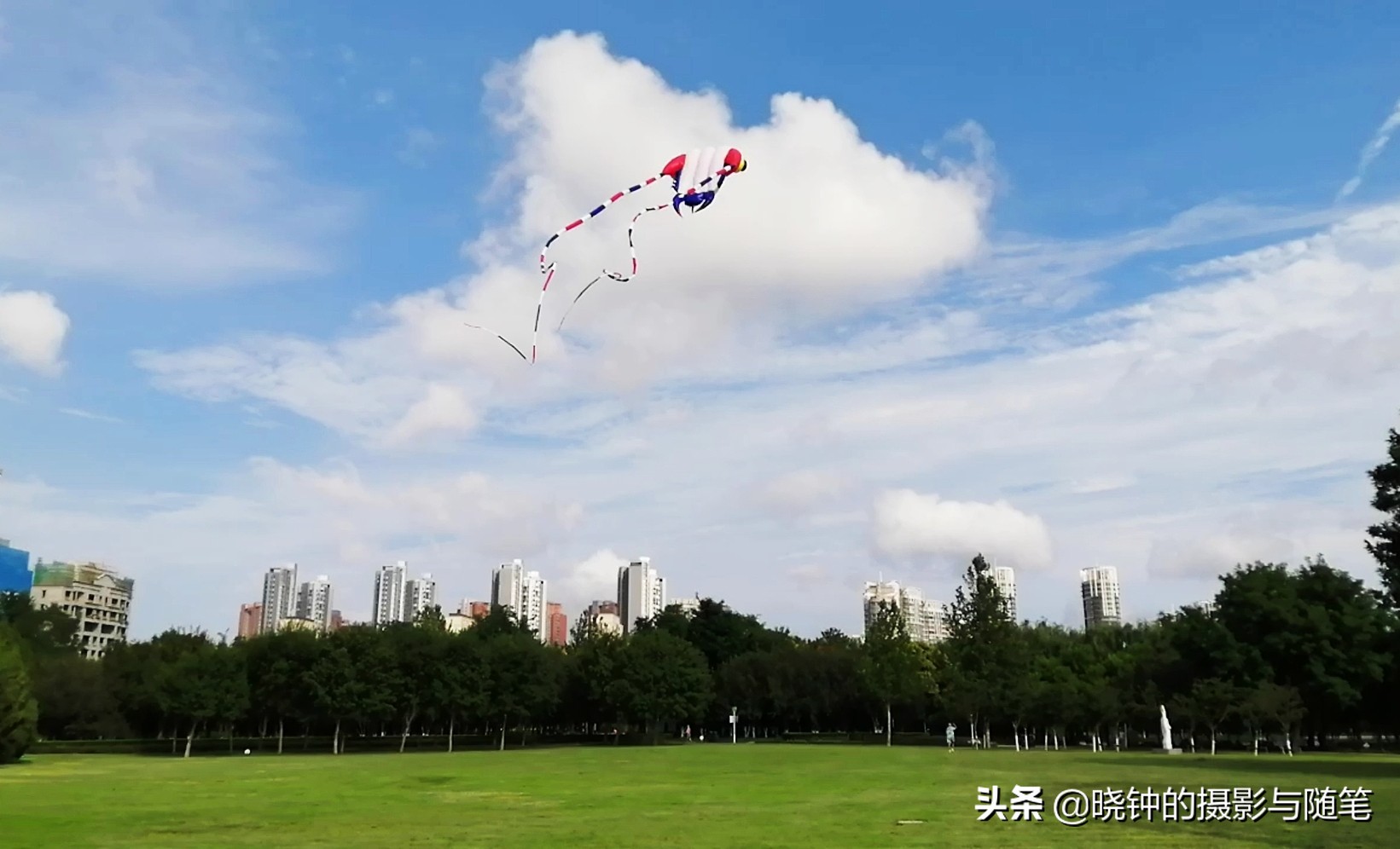 坐拥16万平方米绿地，草坪比20个足球场还大，天津这座公园厉害了
