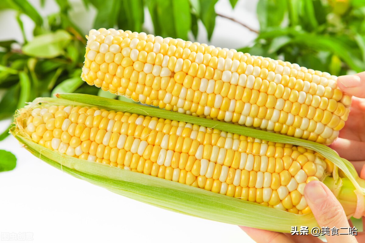怎样区分水果玉米是不是转基因的,水果玉米是转基因吗为什么那么甜