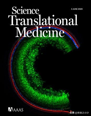 基因(DNA)编译,人类首次通过基因编辑攻克隐性遗传病