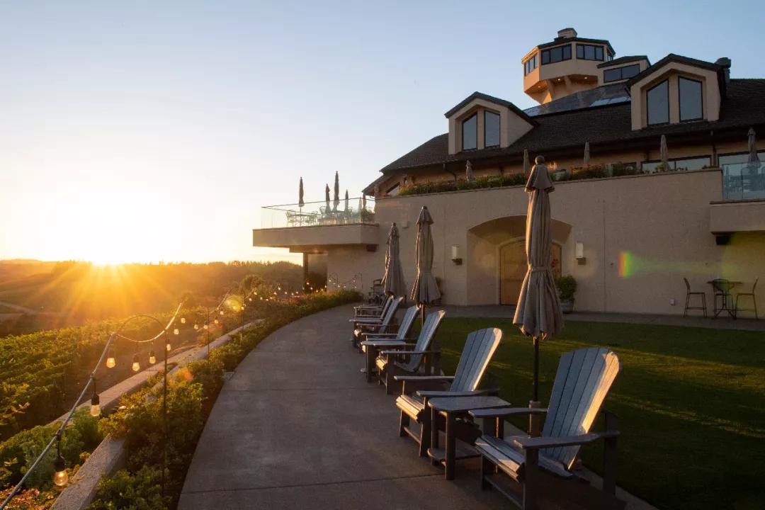 世界10大葡萄酒产区,世界十大顶级葡萄酒产区