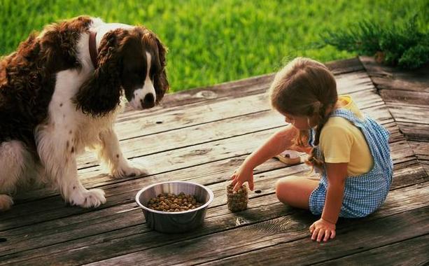 狗狗厌食挑食是缺钙的原因吗,怎么判断狗狗是髌骨脱位还是缺钙